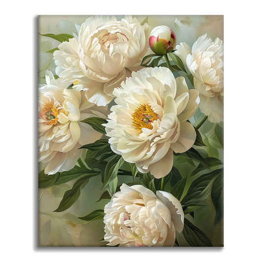 Witte pioenrozen - Schilderen op nummer