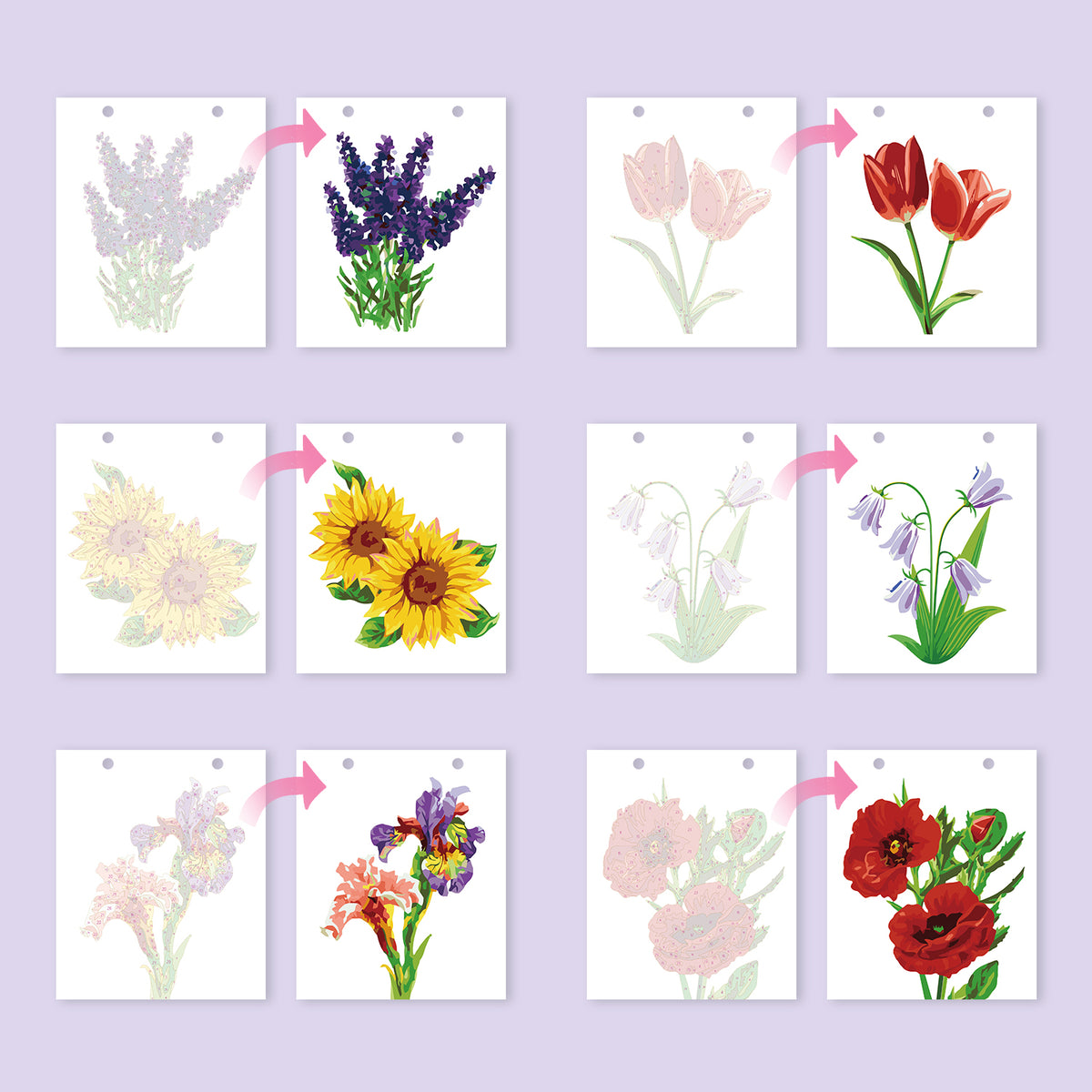 Blumen-Edition – 2027 Malen nach Zahlen Tischkalender