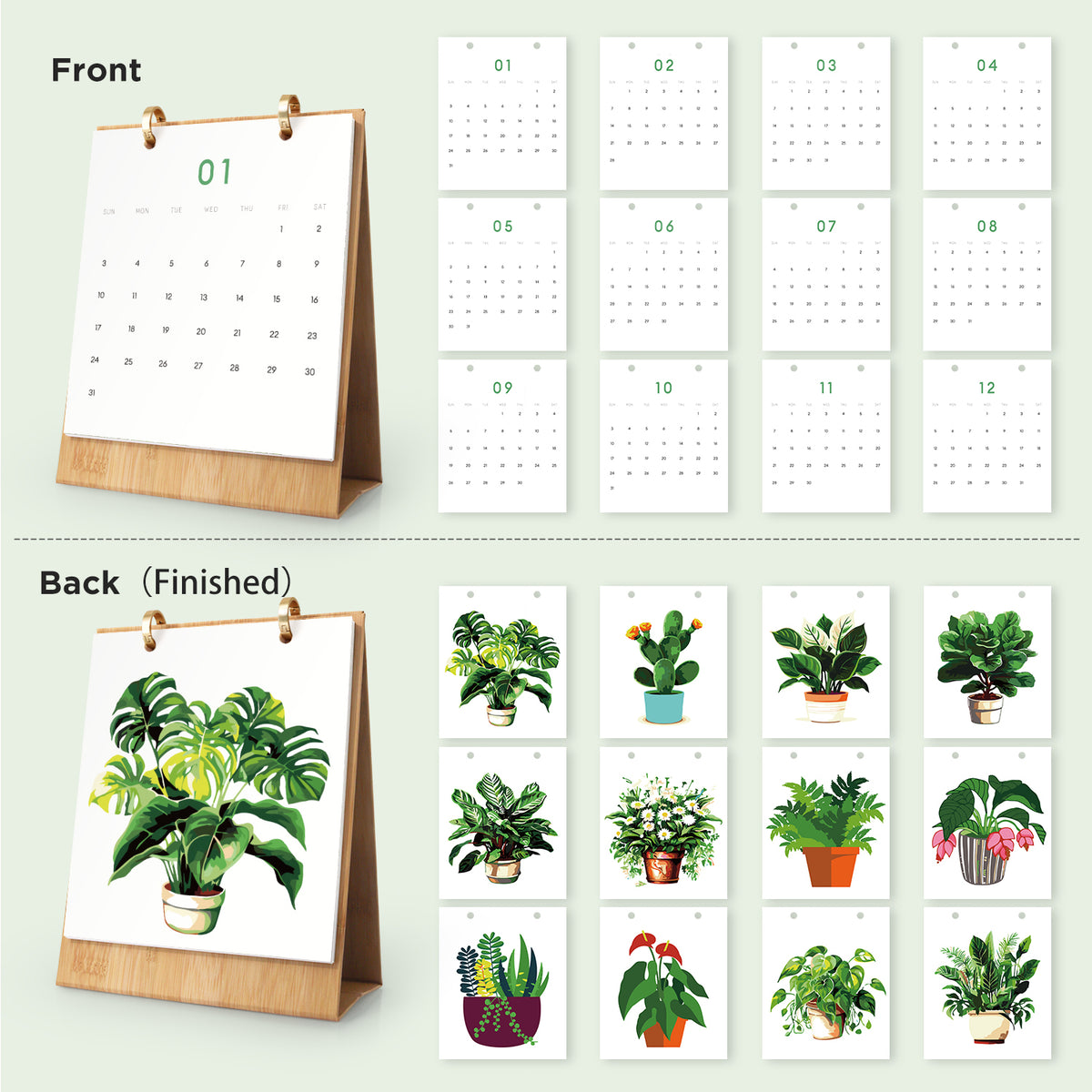 Pflanzen-Edition – 2027 Malen nach Zahlen Tischkalender