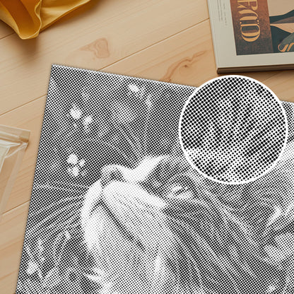 Selkirk Rex – Malen mit Punkten